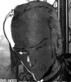 Klaus von Lichtenlade.png