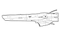 Thumbnail for version as of 02:44, 27 June 2011