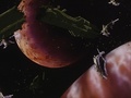 Thumbnail for version as of 09:57, 28 January 2013