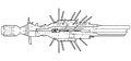 Thumbnail for version as of 09:16, 6 December 2011